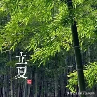 农事节气谚语,农事歌大全