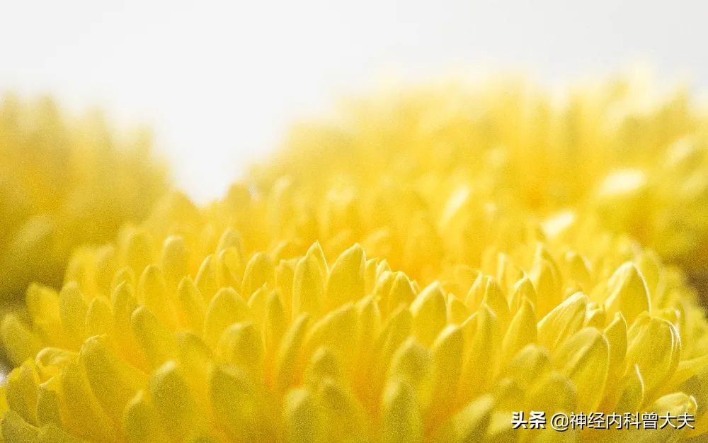 脑梗以后总是头晕是怎么回事,脑梗治疗后老是头晕是怎么回事