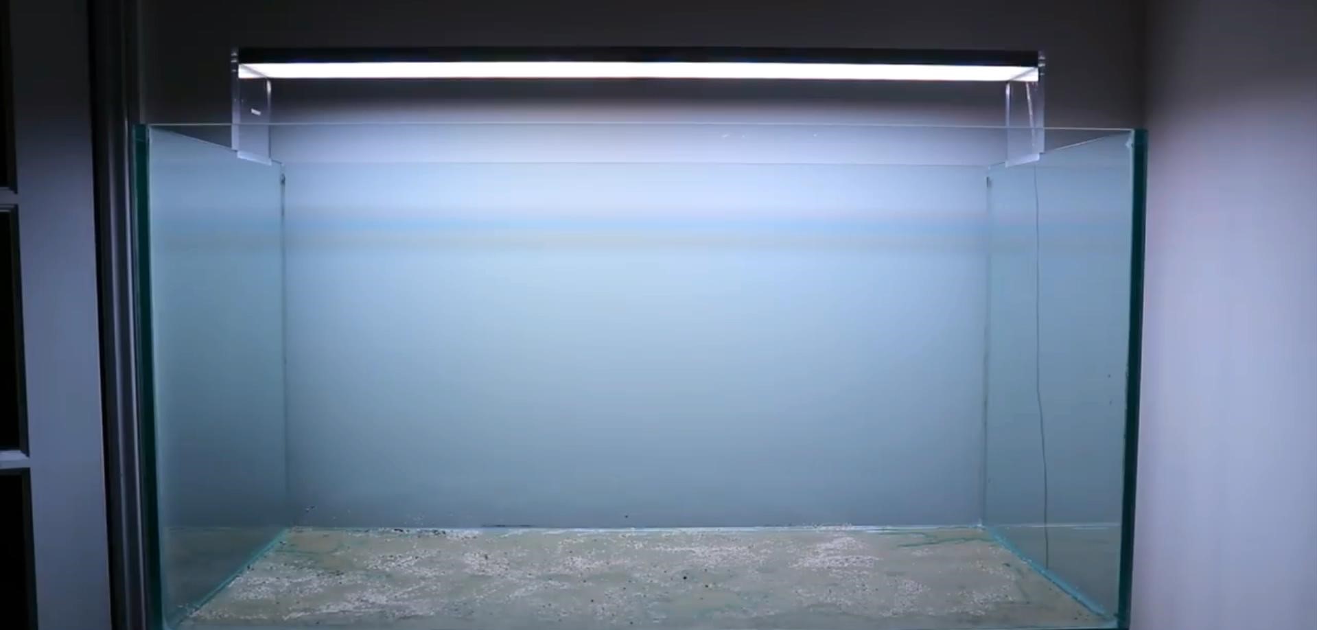 沉木草缸入门造景,50厘米草缸入门造景