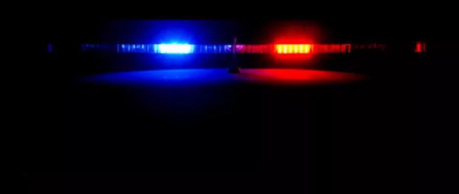 印度毒王最新信息,印度毒王视频