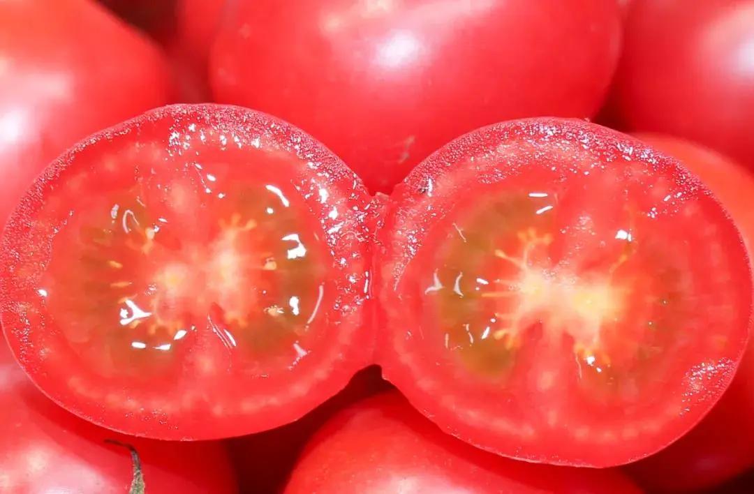 鍗佸牥瓒呭叏钄彍姘存灉,鍗佸牥鏂伴矞姘存灉