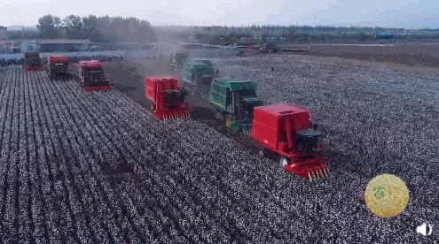 hm的财报,hm公布财报