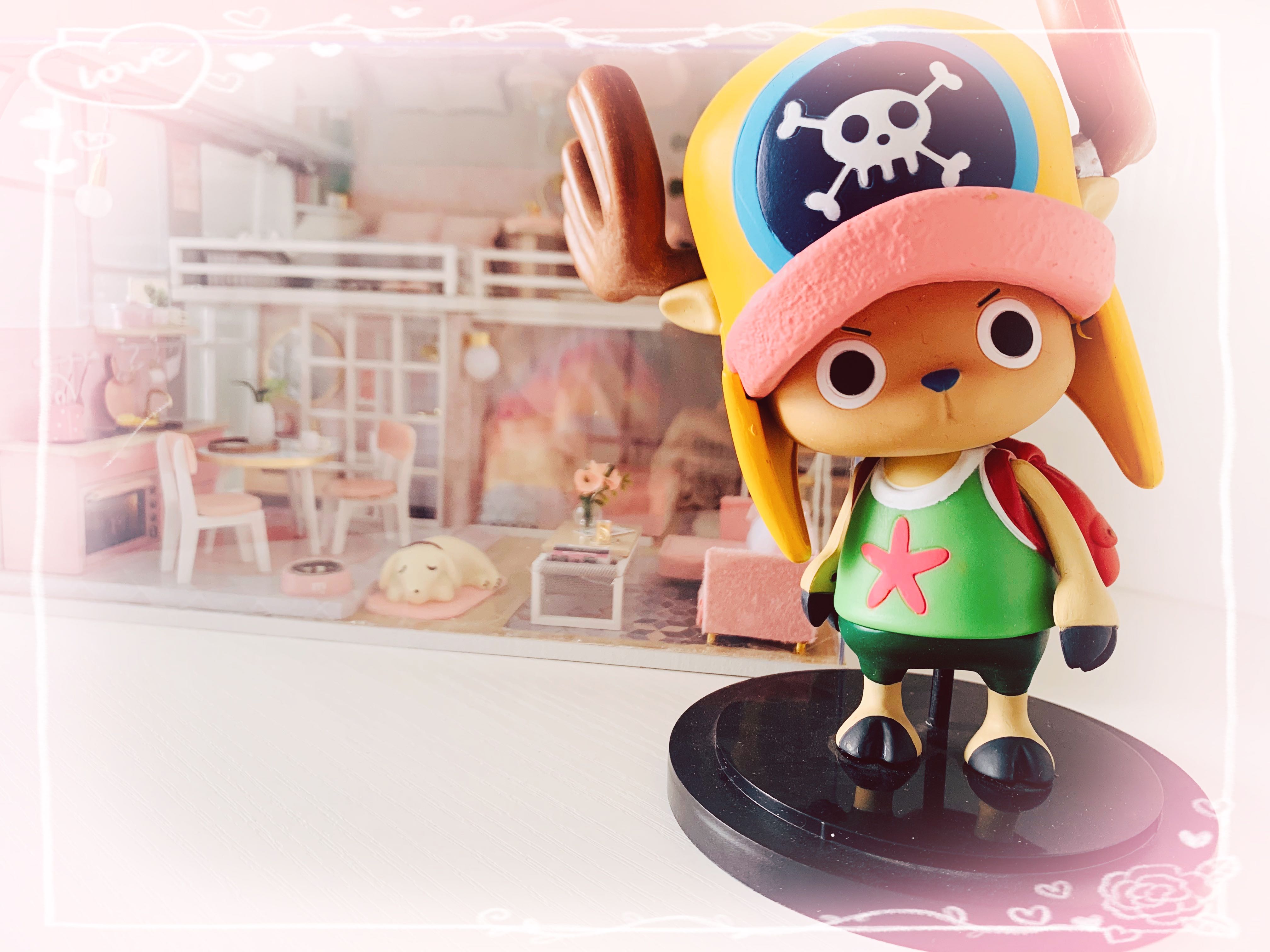 心之向往,皆在桑尼,成人眼中的《航海王》是驰而不往的梦想