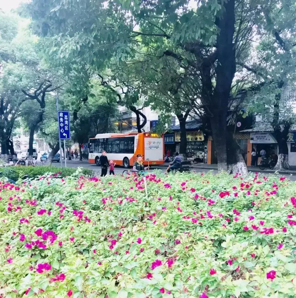 住龙津路,自带故事!