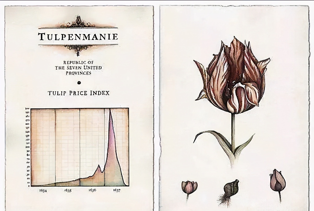 美国或爆发历史性金融危机,荷兰危机的根源所在是
