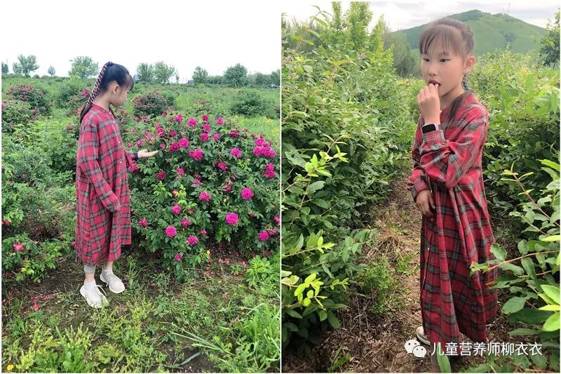 暑假内蒙古旅游攻略亲子,暑假亲子游玩内蒙古5天4夜