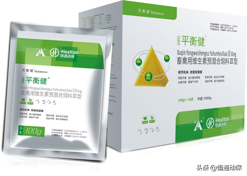 母猪产后坐月子,母猪坐月子