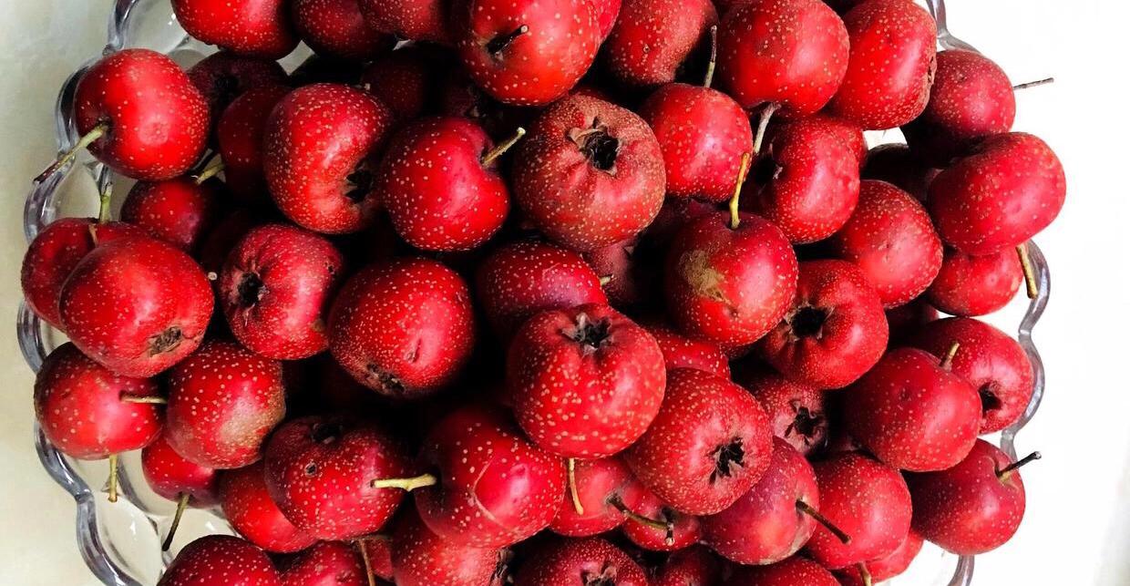 自制山楂酱冷藏能放多久,自制山楂酱用什么品种的山楂