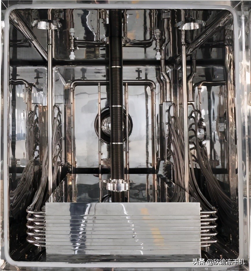 真空冷冻干燥机原理及结构图,真空冷冻干燥机原理