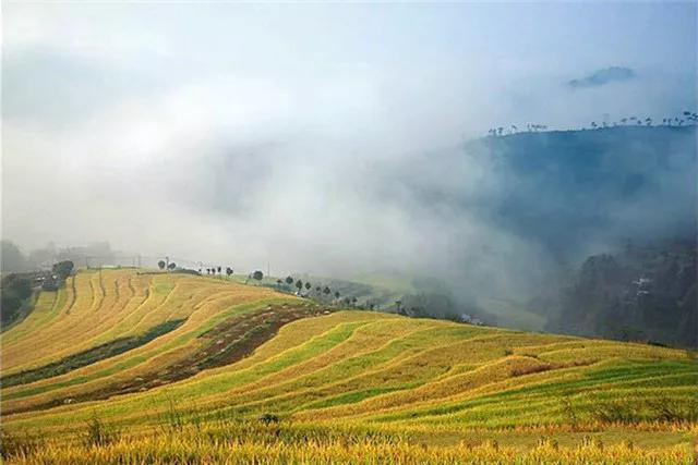 广东省最美自驾游244省道,中国最受欢迎的十大自驾路线top1