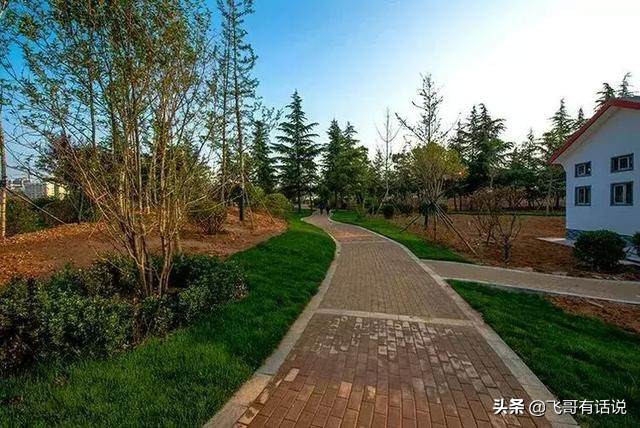 孟津有哪些观景地方,孟津后花园旅游攻略