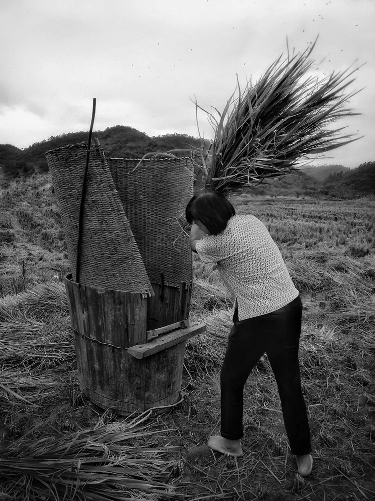 鎽勫奖鏂版墜璐拱鐩告満娉ㄦ剰浜嬮」,鎷嶅绾辨憚褰辫娉ㄦ剰浜嬮」