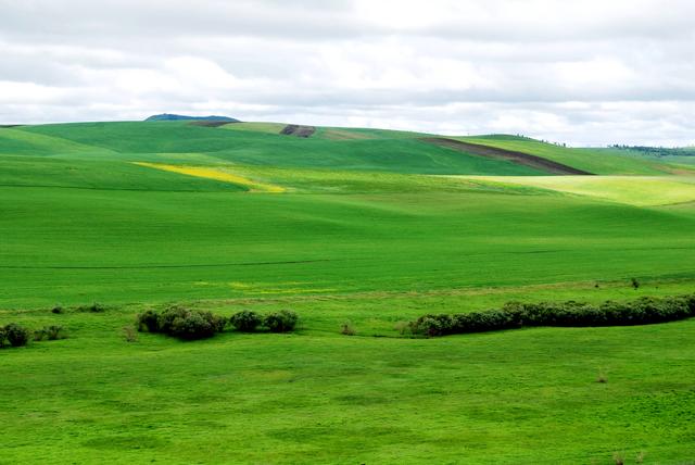 一辆车,从东乌旗沿中蒙边境公路到阿尔山,漫长边关寻迹历史遗存