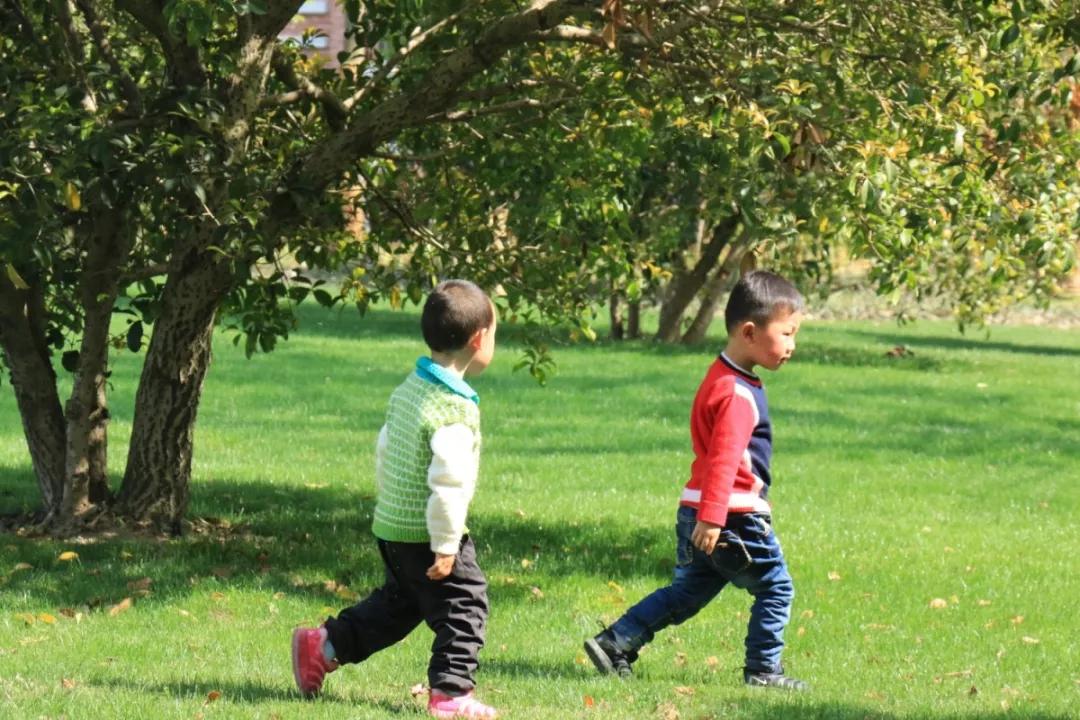 松江国际生态商务区地标,松江国际生态公园