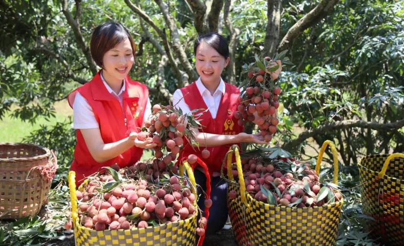 这幅现代版八桂“富春山居图”，有农信妙笔