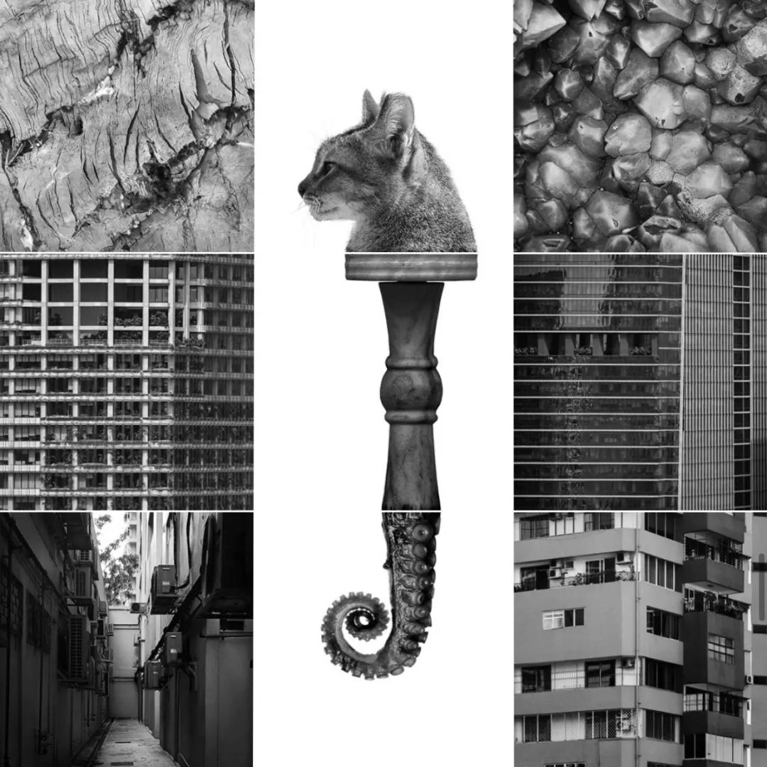 九宫格怎么晒图片,晒一晒九宫格图片