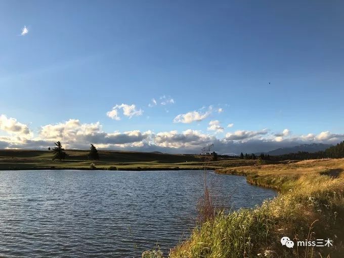 新西兰自驾游需要注意什么,新西兰自驾游要带什么东西