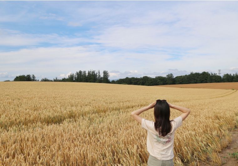 北海道七月的样子,北海道7月