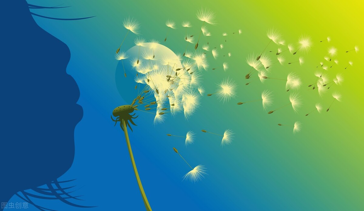 张爱玲最煽情诗句,张爱玲情感语录短视频