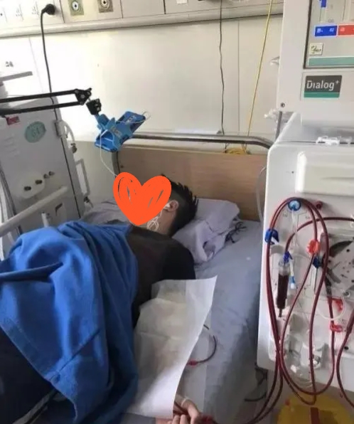 降肌酐最好的三味中药,肌酐高吃点什么药降肌酐