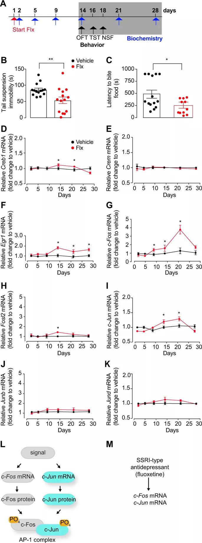 国外有效治疗抑郁症的方法,国际上治疗抑郁症最新办法