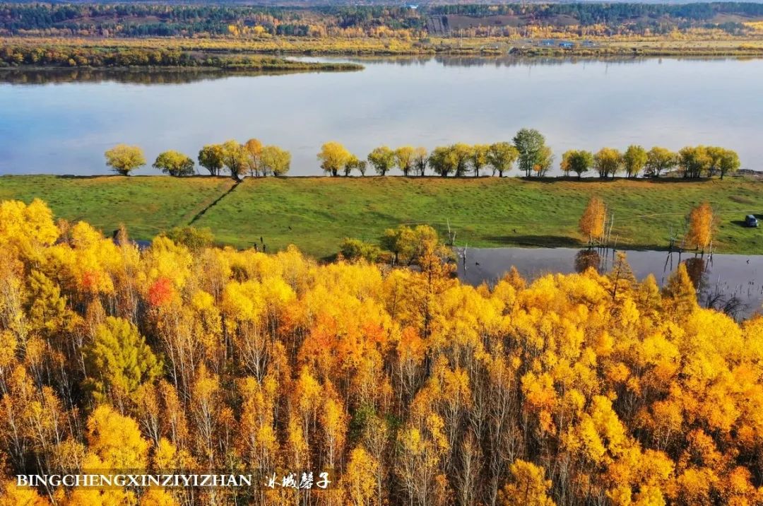 深秋的大兴安岭色彩斑斓,大兴安岭的秋天美景
