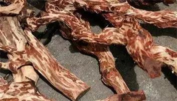 升值又治病|木头中的四大名药，你了解吗？