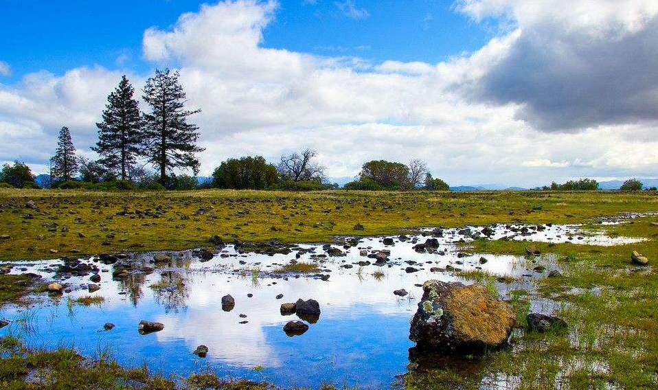 说文解字诗经考点,诗经说文解字108课