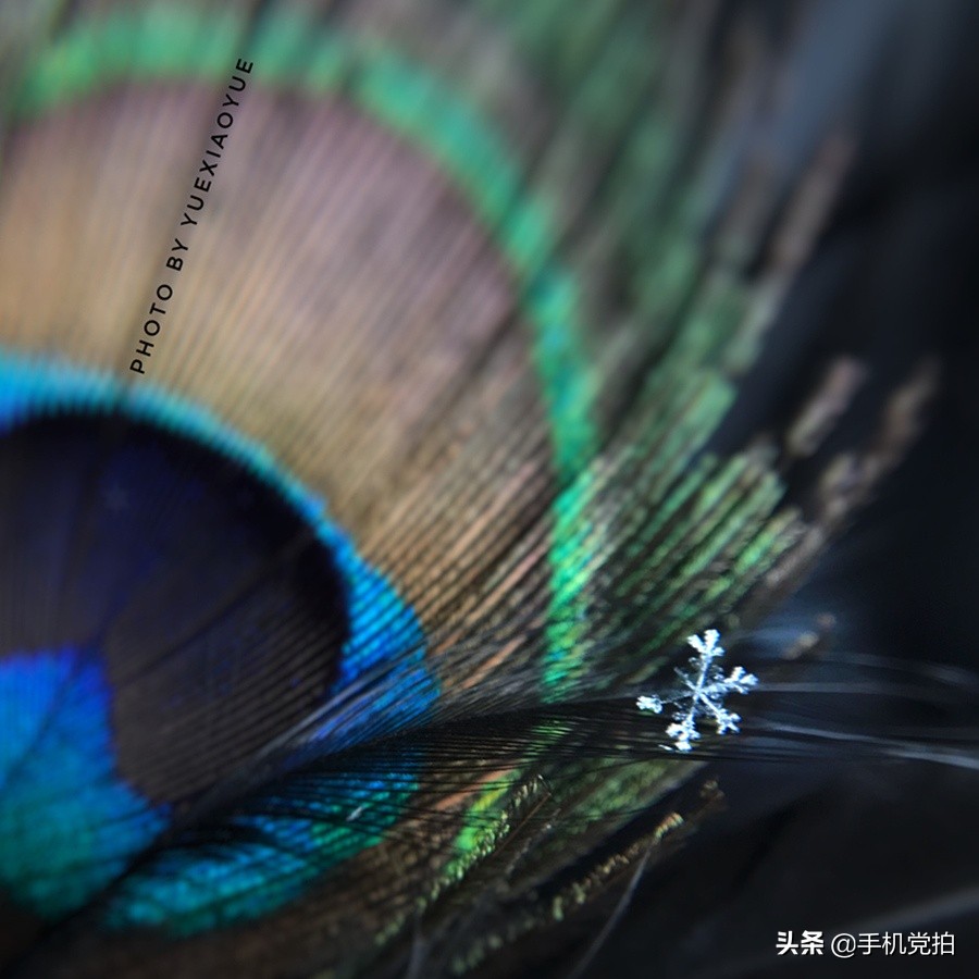 拍摄20倍雪花微距的教程,下雪天怎么拍出唯美视频