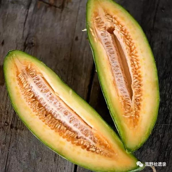 四川适合种植哈密瓜甜瓜品种,甜瓜种植技术新疆哈密瓜