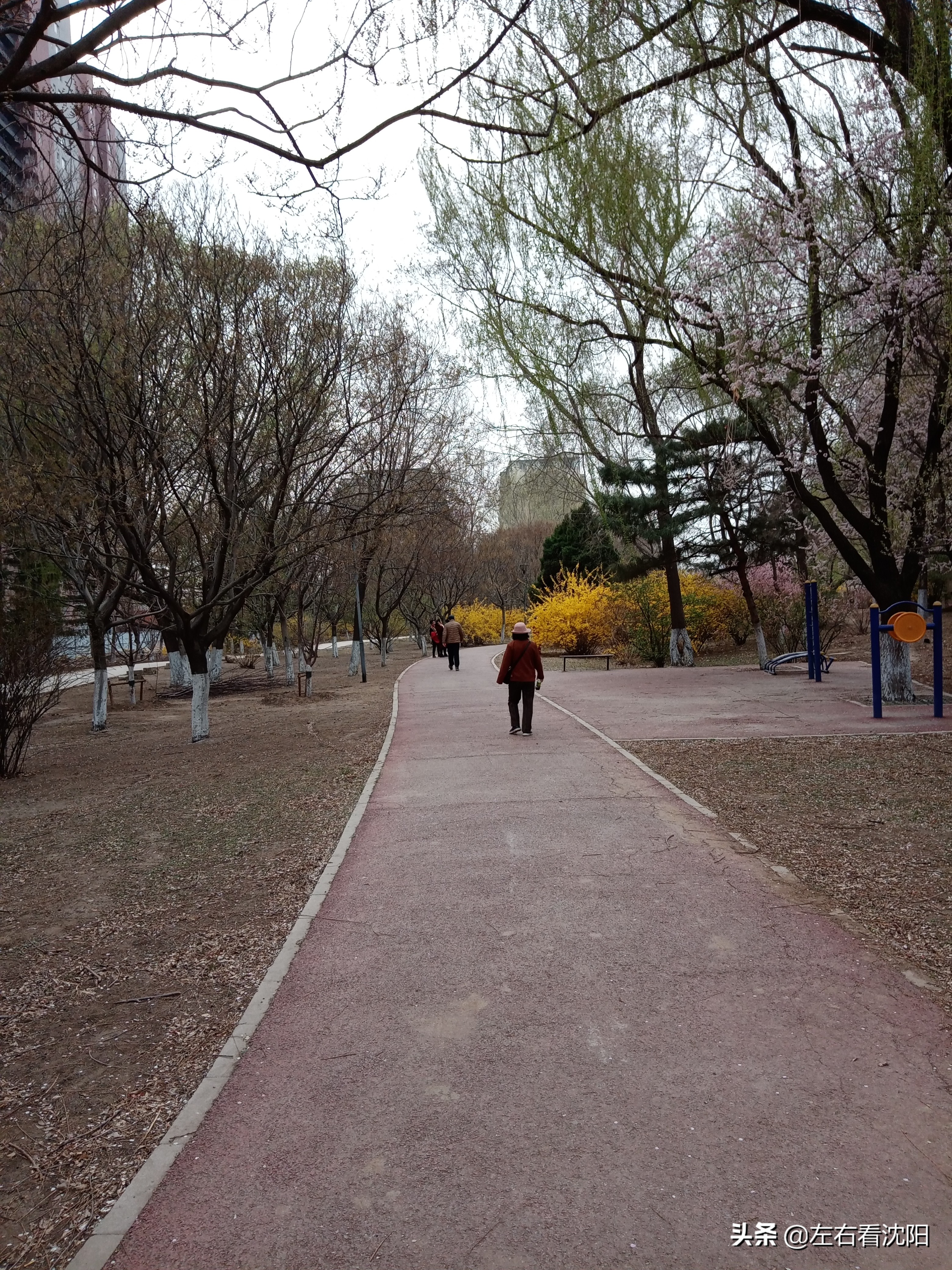 沈阳黎明公园,沈阳大东区黎明公园