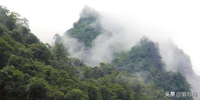 四川黑竹沟峡谷,中国最神秘的山谷