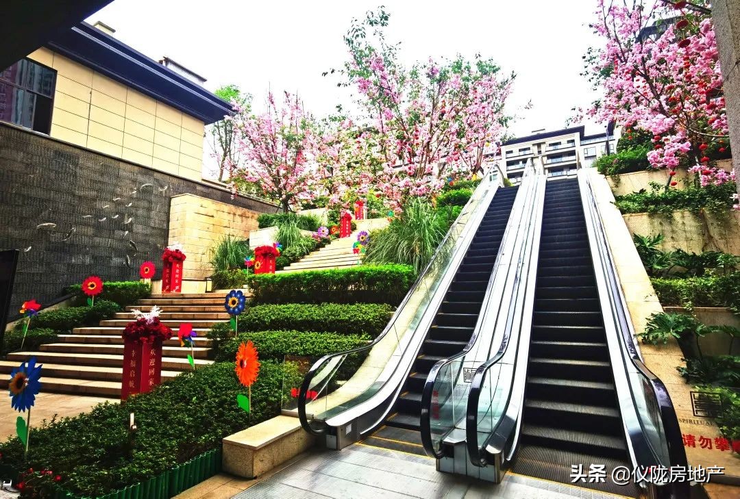 仪陇新政最好的楼盘,仪陇最好的楼盘是哪个