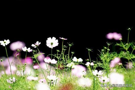 哪些期货品种适合日内短线交易,想做好股票需要什么财经知识