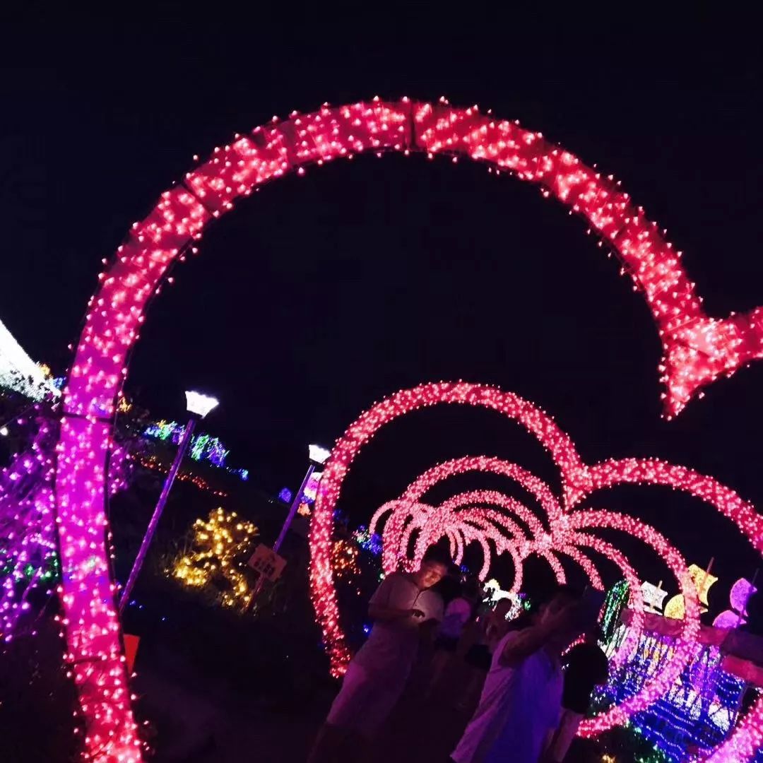 潍坊海上明珠优惠票,潍坊海上明珠乐园首届北极光之夜