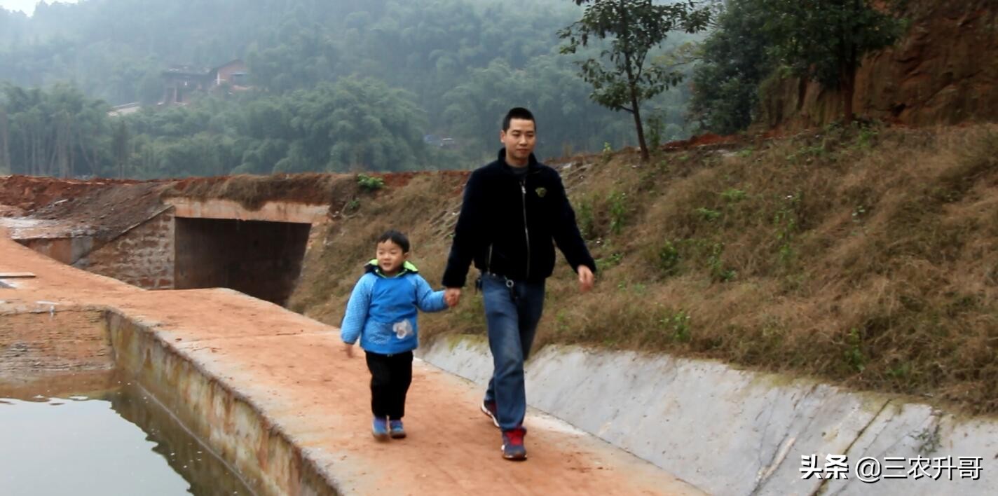 新农村建设田园风光小镇,农业种植养殖观光旅游休闲的方案