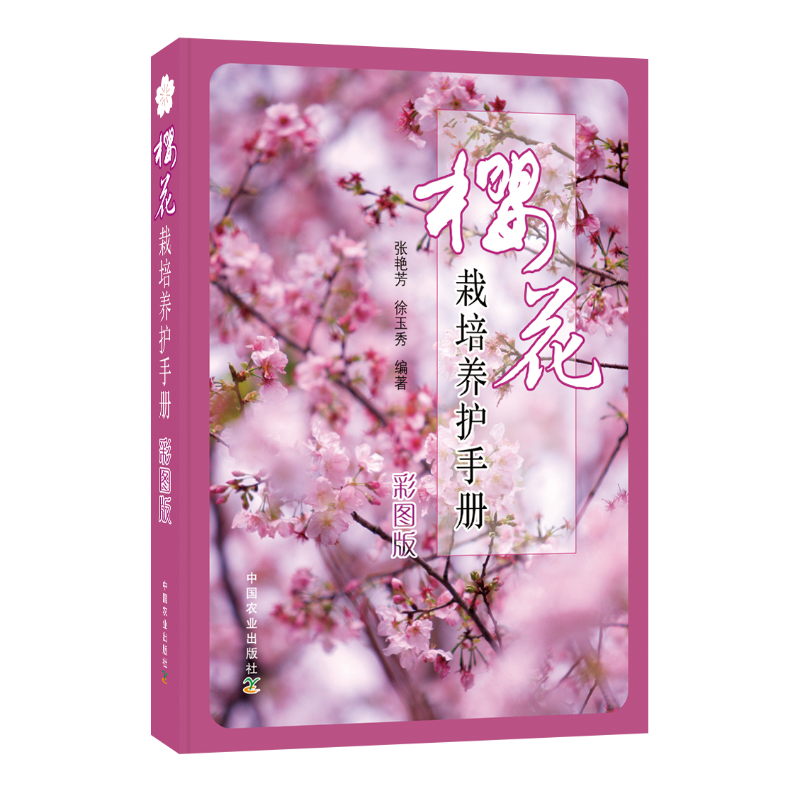 一年一度的樱花大赏,一年一度赏樱花季节又到了