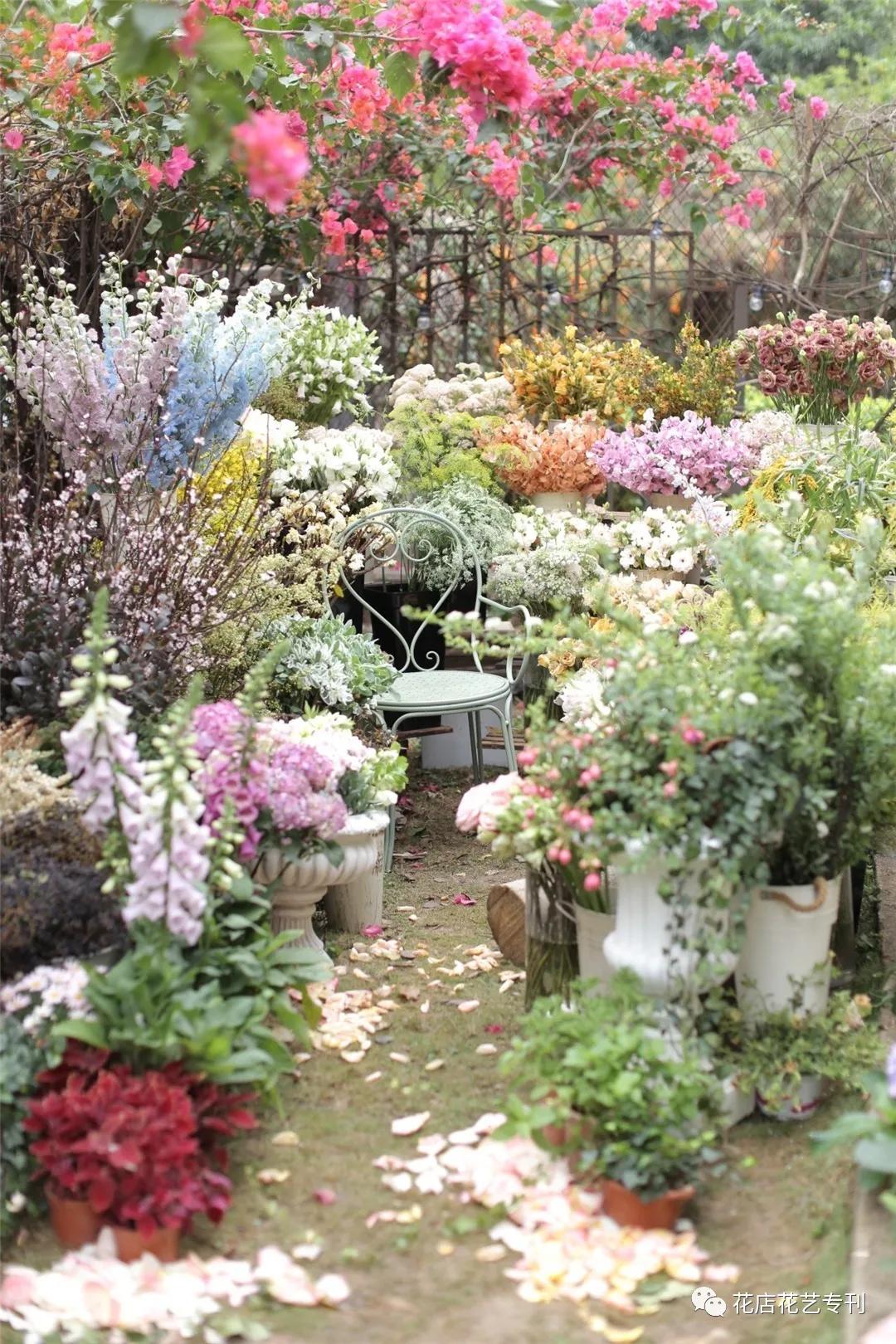 深圳TaleFlora：在花园里授课，做有灵魂的设计