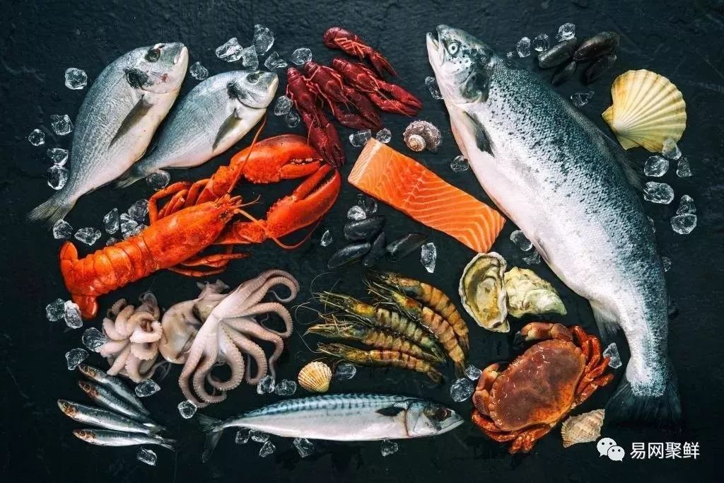 数据解析|在中国哪些人爱吃海鲜，哪些海鲜最受欢迎？