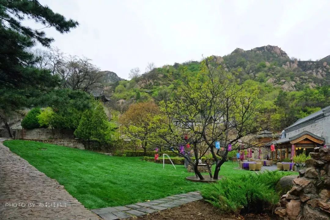 京郊童话树屋,京郊最美童话树屋