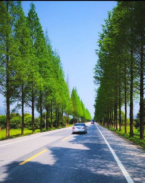 蜈蚣梁村还有这么一位特殊特别的“厅级干部”