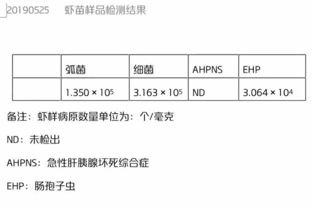 南美白对虾常见的寄生虫,南美白对虾怎样预防虫