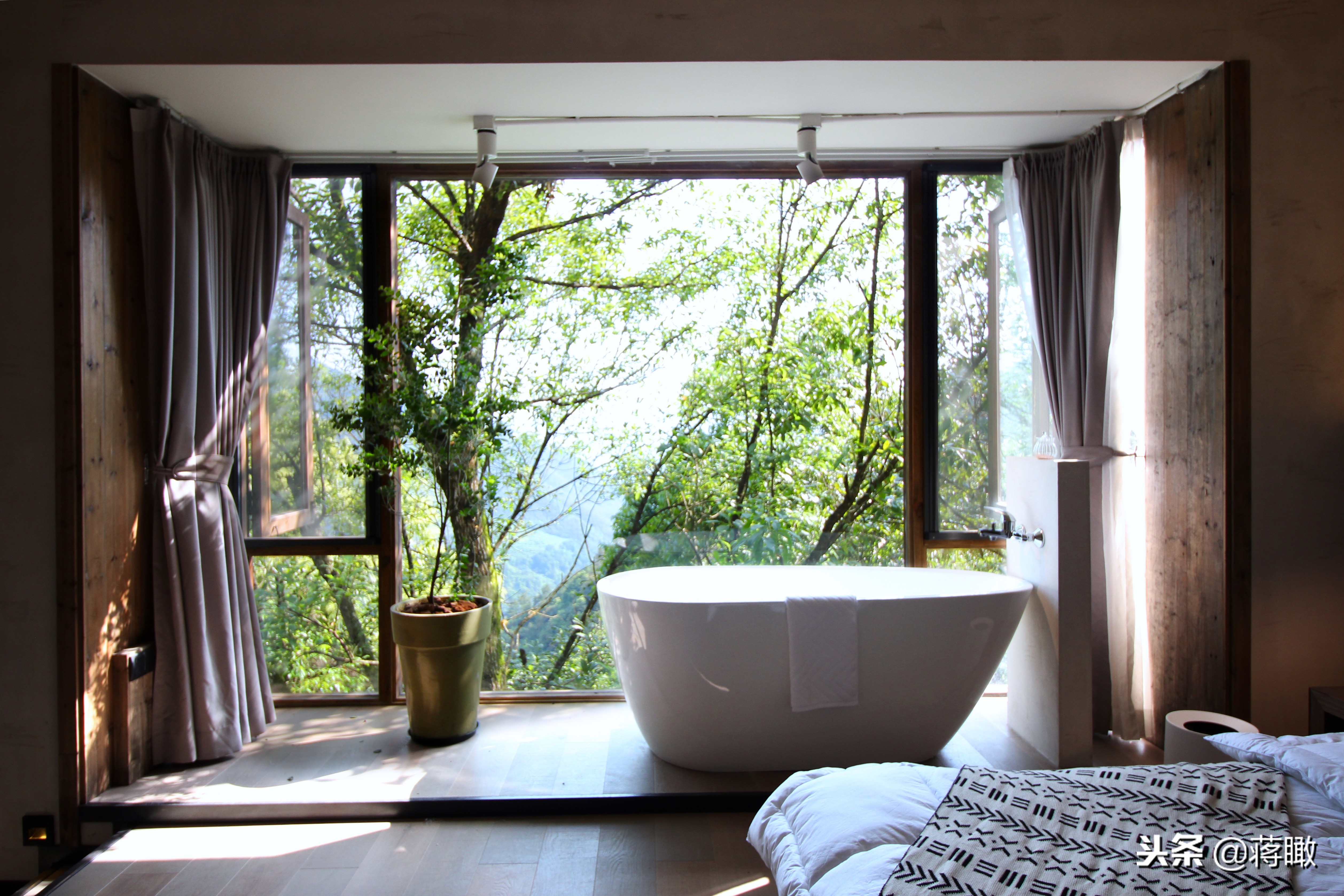 松阳，会是下一个理想国么？