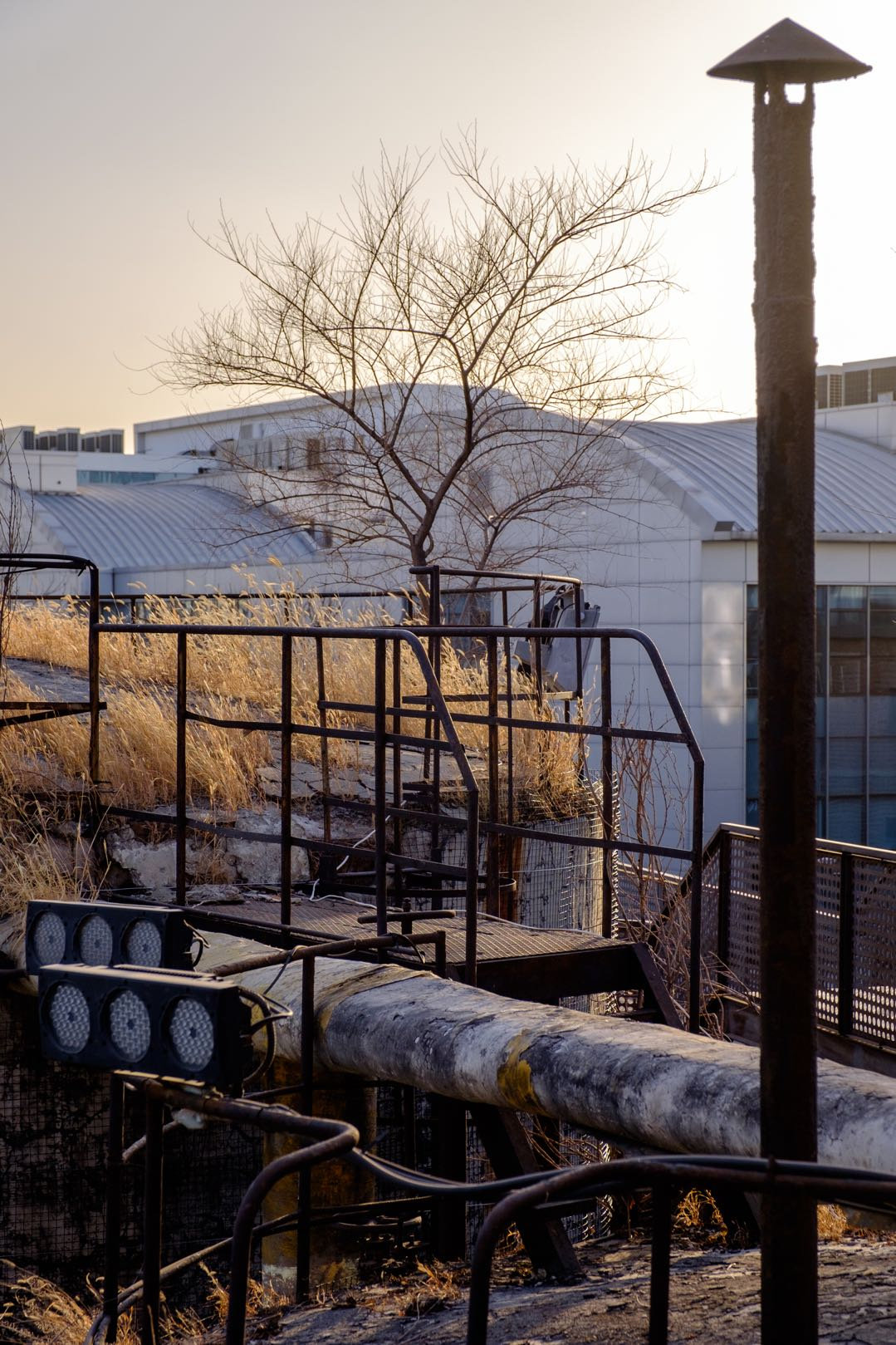 行摄北京798丨用奥林巴斯寻找光和影