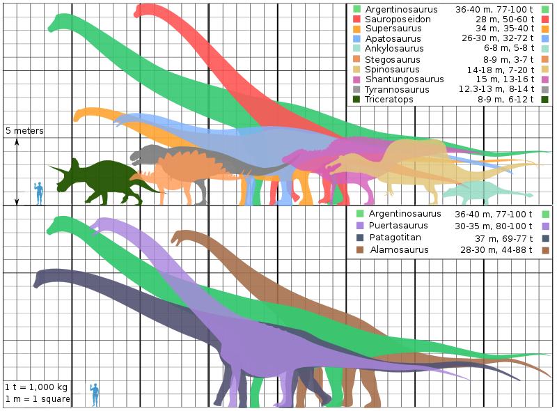 世界上第一种被人类发现的恐龙,世界上第一个被发现的恐龙