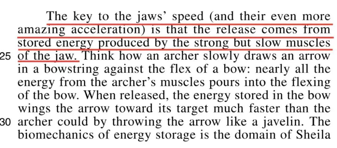 sat和act怎么备考,sat和act考试时间地点