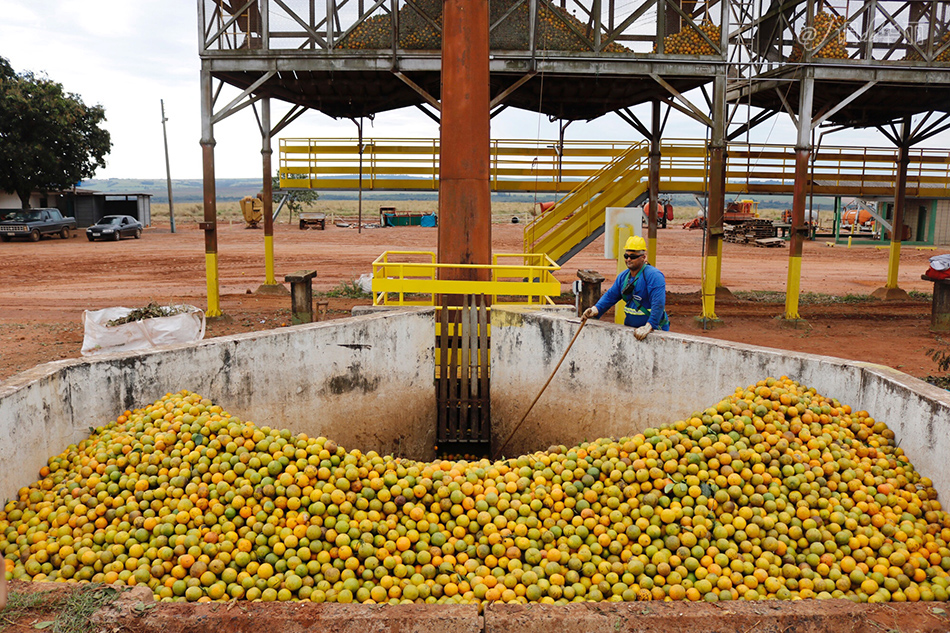 巴西像内马尔的人,巴西像