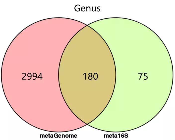 宏基因组学和16s,宏基因组与16s数据分析一样吗