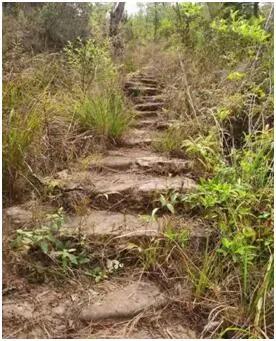 茶马古道马蹄坑,茶马古道篇