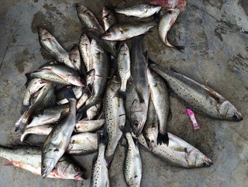 海钓赚最多钱的人,海钓有多烧钱